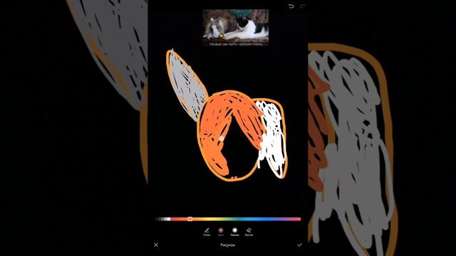 SVID_20250613_132615_1.mp4