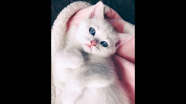 какая у вас? погода. у нас летняя. погода жарко очень си