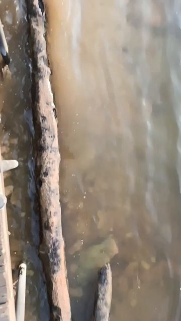 вид на водоххранилище