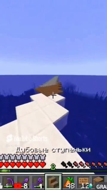 Minecraft Лучшее #964