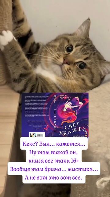 «Свет укажет» Диана Адамова #чтопочитать #драма  #мистика #эксмо #likebook #книжныймем