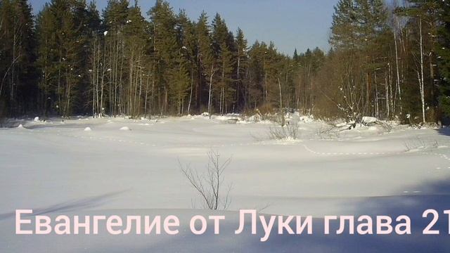 Библия Евангелие от Луки глава 21