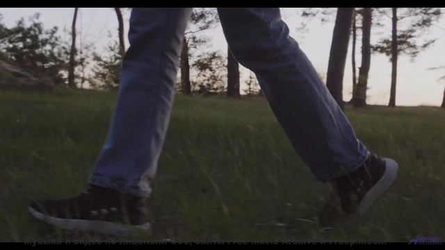 Эта композиция взломала хит-парады - алгоритмы против человечества! - Grow Up -- Derek Clegg -- Stop