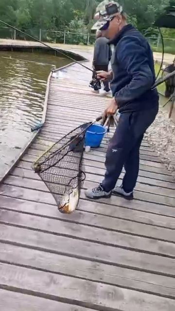 КРХ ТРИФОН