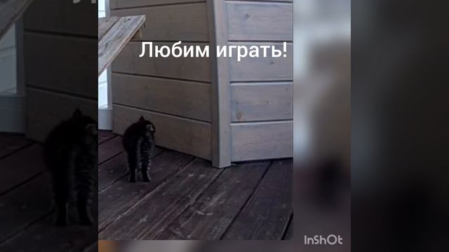 1000038183.mp4