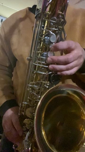 Yanagisawa T-5