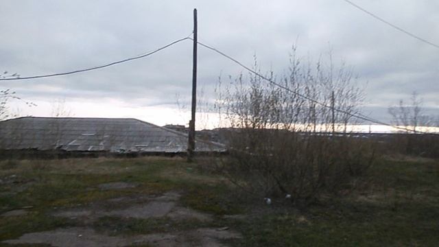 Прогулка 13 06 2025 1