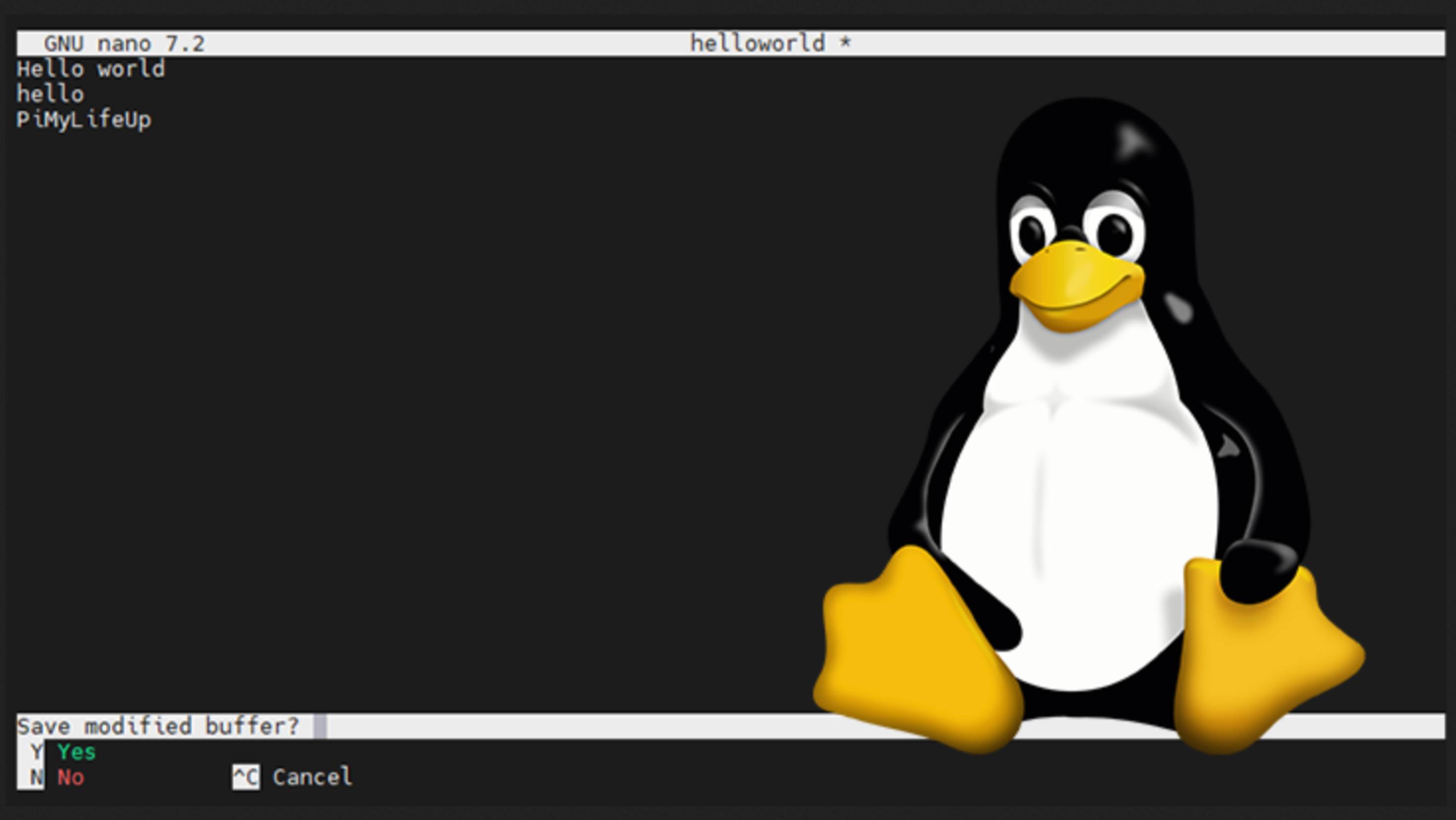 Использование текстового редактора nano в Linux.