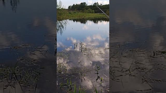 ((..Autoreali..)) в прямом эфире! 21 мая утро на рыбалке