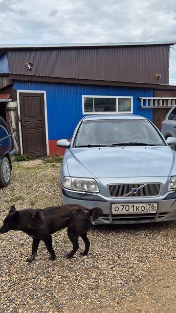 Volvo семья