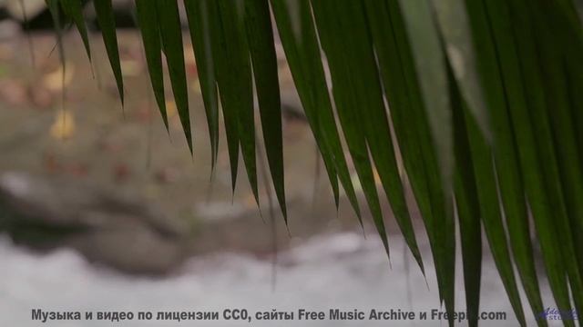 Музыка, которая открывает порталы! - Кавер на макулатуру -- Александр Недугин -- Министерва Любви