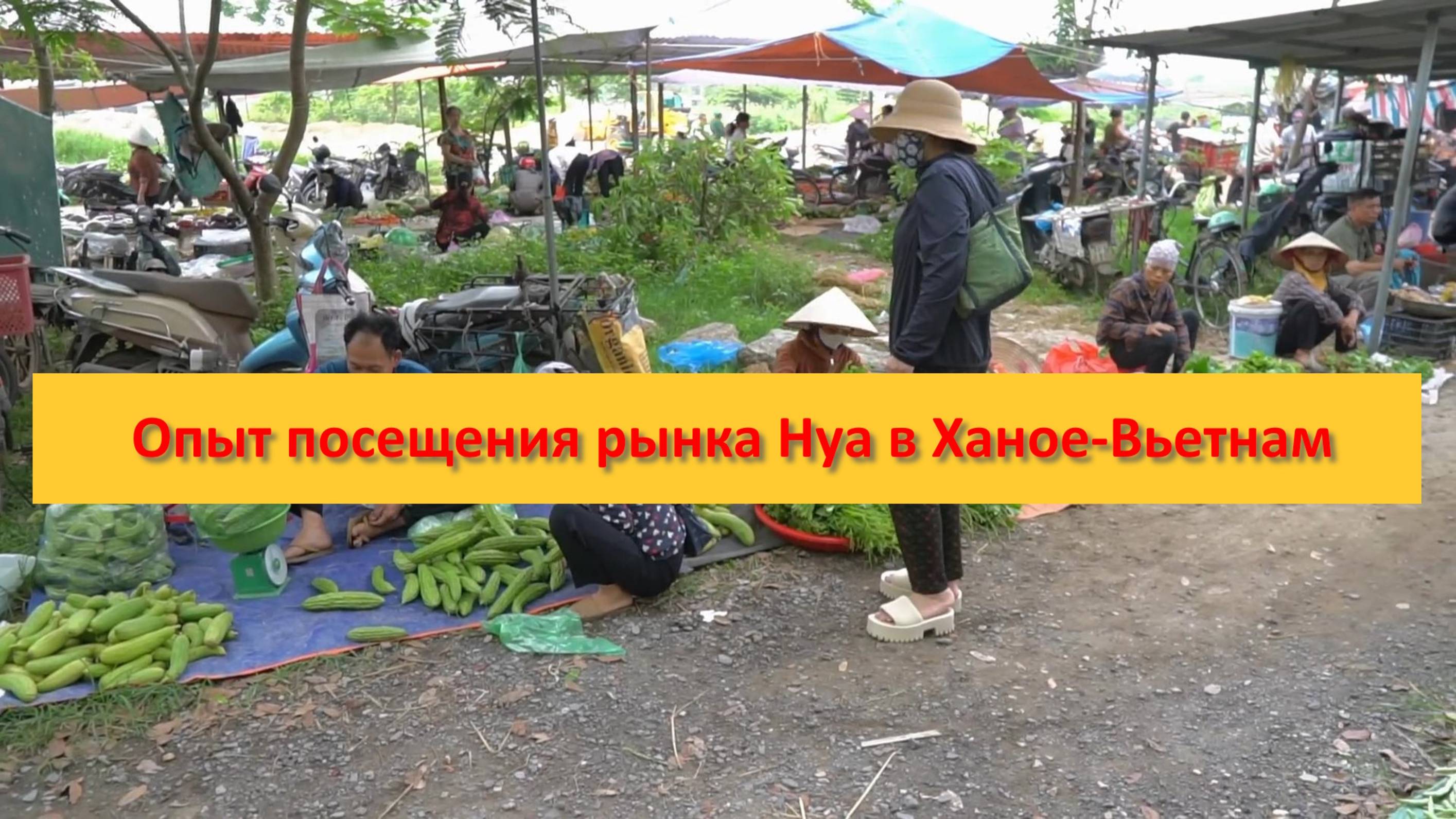 Опыт посещения рынка Нуа в Ханое-Вьетнам