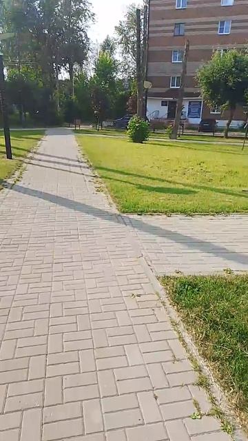 1000019290.mp4