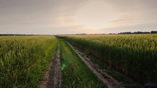 Этот клип - как любовь с первого взгляда! - Vihufotugy -- Mello C -- Concept Beats Vol. 4 Nobaraso