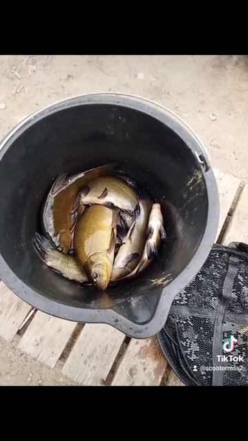 Опять Линь.