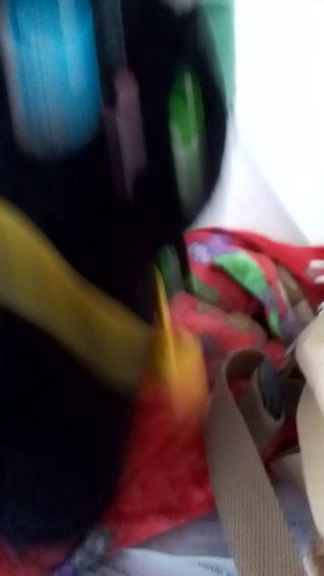 на 1 апреля милыи́ котик серия 2