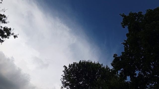 1000008349.mp4