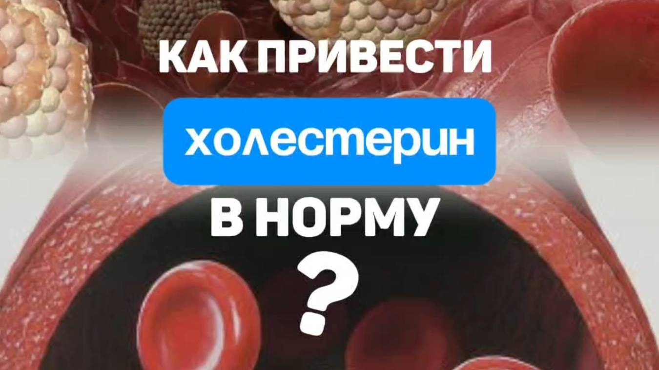 Как снизить холестерин? Что делать, чтобы привести холестерин в норму? Алена Братишко
