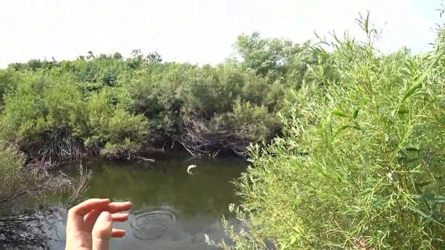 🎣 Окунь в яме — где он прячется и как его достать? Секреты летней ловли трофейных горбачей!