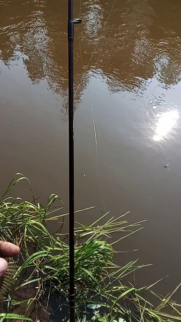 1000041941.mp4