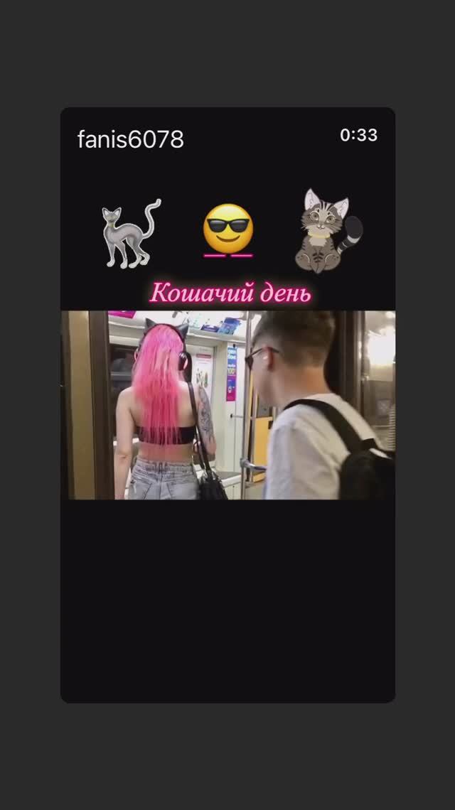 День кошек