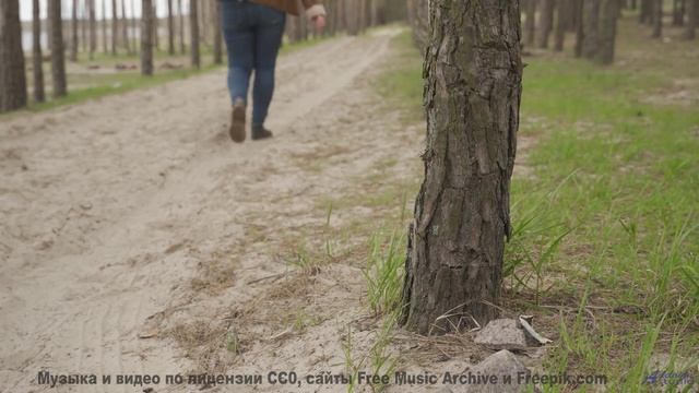 Музыка, под которую даже кактусы пускаются в пляс! - Chronicle -- Ketsa -- Metaphysics