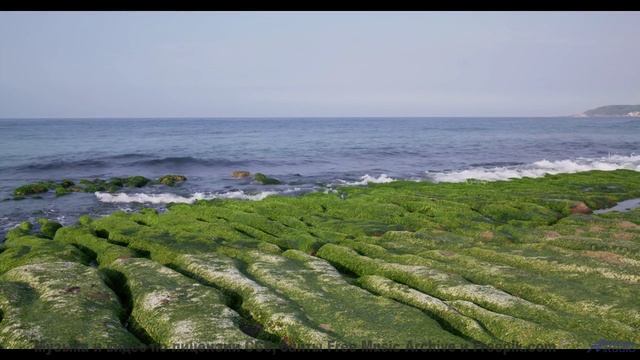 Океан, песок и музыка, которая звучит как биение двух сердец! - Incoming -- Ketsa -- Equinox Rising