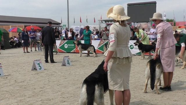 Класс чемпионов