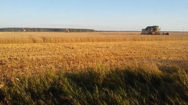 Уборочная 2017. 2 Акрос-530 и 2 Нью холанд