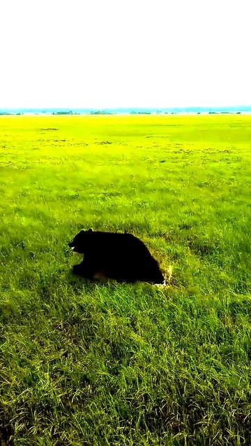 Моменты, которые удивят вас