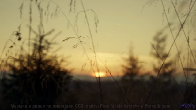 Музыка, которая делает каждый поворот маршрута поцелуем судьбы - Old River -- Ayla Nereo -- Play Me
