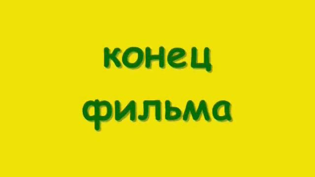 Бабочки- красавицы. Мультфильм
