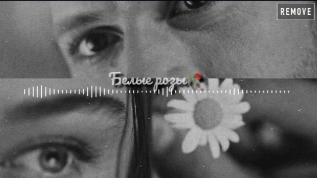 Белые розы 🖤🥀🌼