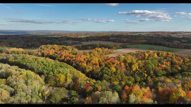 Это видео докажет, что природа лучше любого фильма - Hirie-Nov 2017-LIVE -- Hirie -- Live at KBOO fo