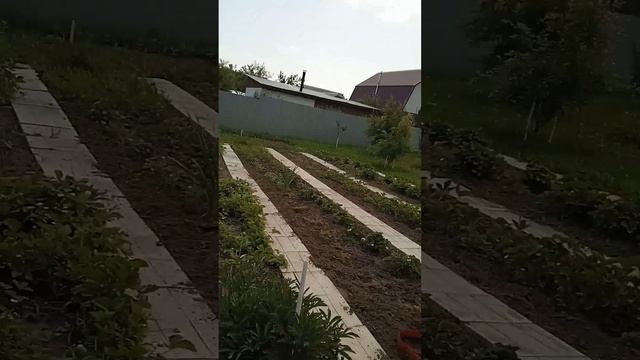 1000024698.mp4