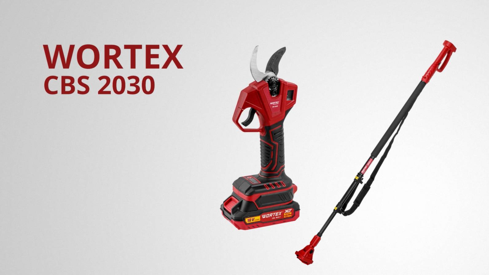 WORTEX CBS 2030 Аккумуляторный секатор (со штангой)