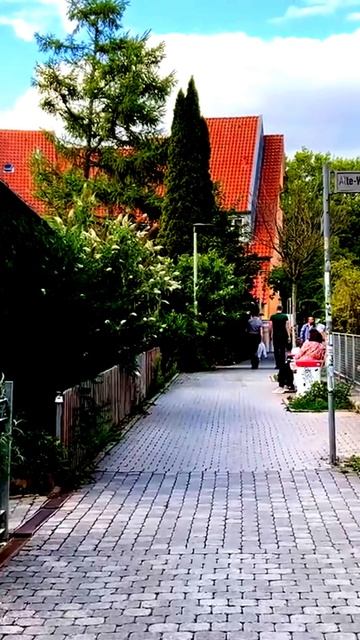 Камера раскрыла тайну