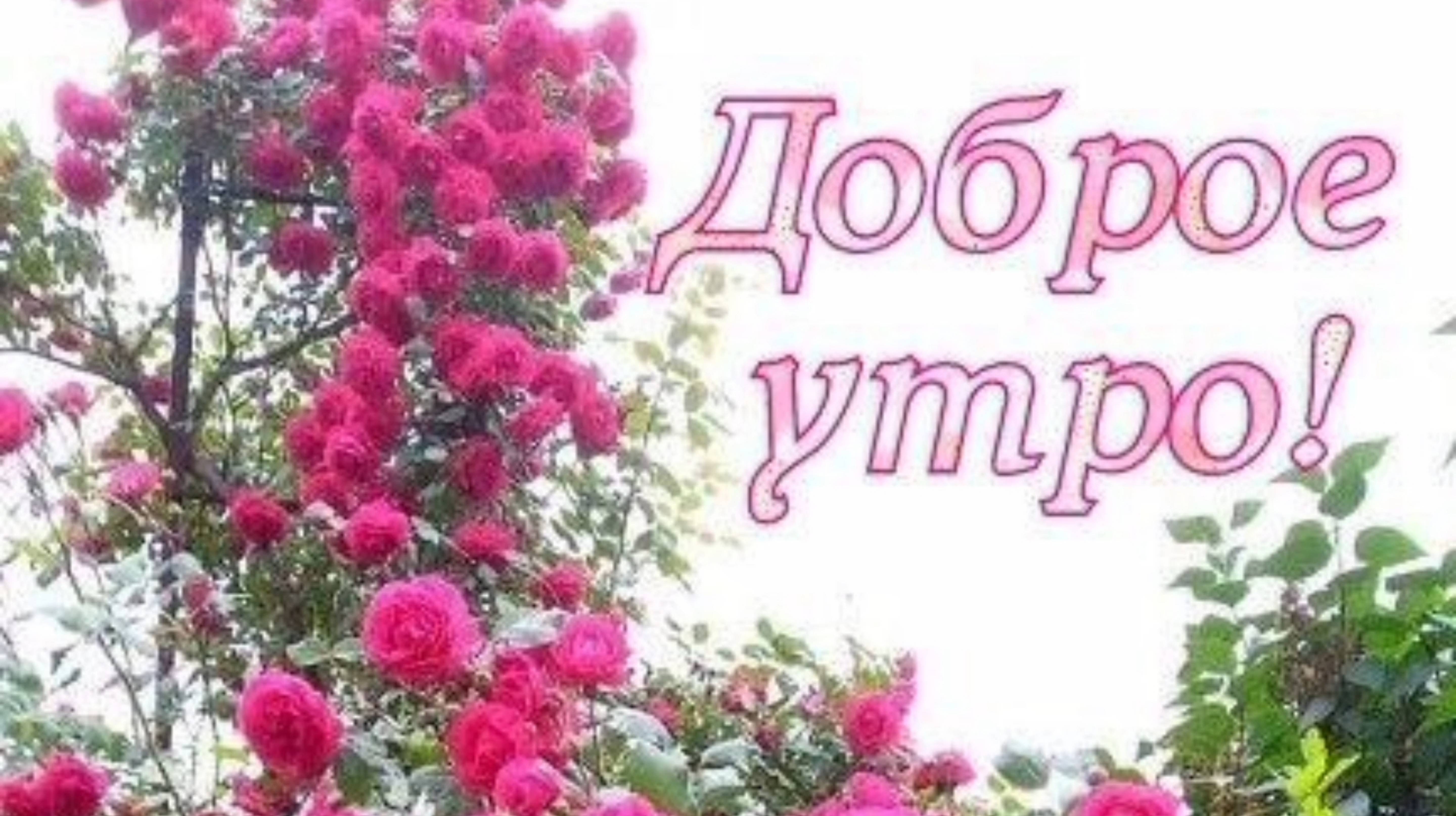 ДЕВЧОНКА ДЕРЗКАЯ ВЕСНА!
