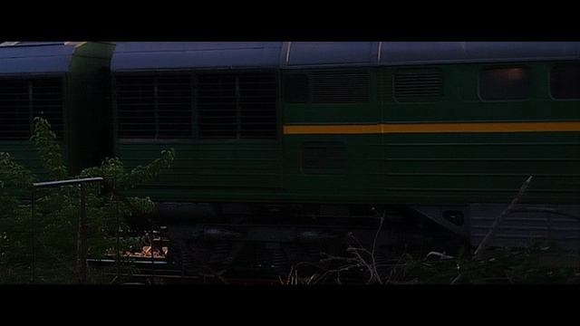 Магистральный тепловоз 2ТЭ116 - 1302 с вагоном
"Дирекция диагностики и мониторинга инфраструктуры".
