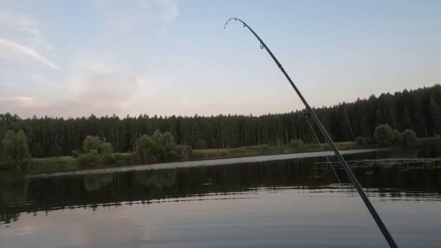ПОЙМАЛ ТРОФЕЙНУЮ ЩУКУ ЛЕТОМ