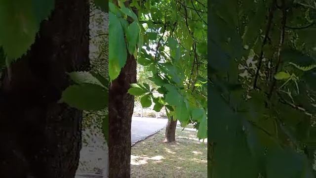 крым сегодня