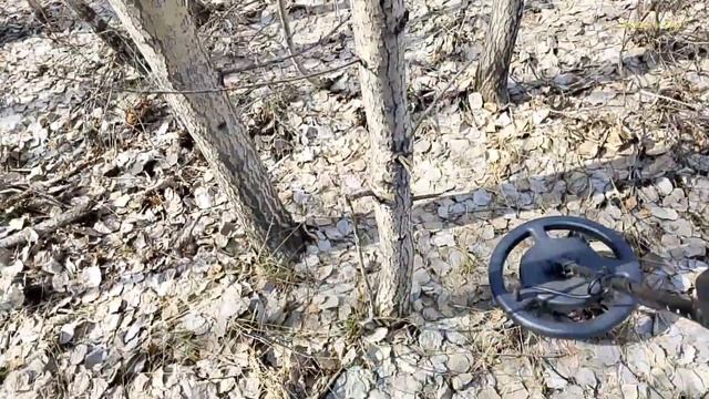 Поиск Металла продолжается, Узнал в каком году было.