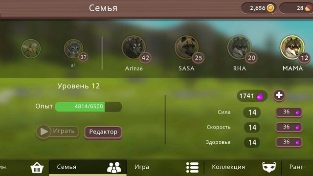 животные 😺