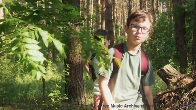 Это видео - как теплый плед в холодный вечер! - Stay Awhile -- Ayla Nereo -- Play Me a Time