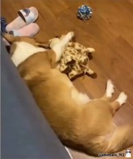 Подпишись 👉 https://vk.com/ykrasheniy_iz_kamny