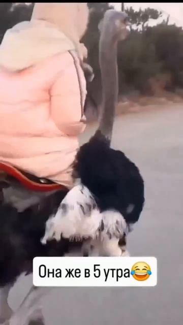 |