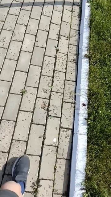 идём завтракать