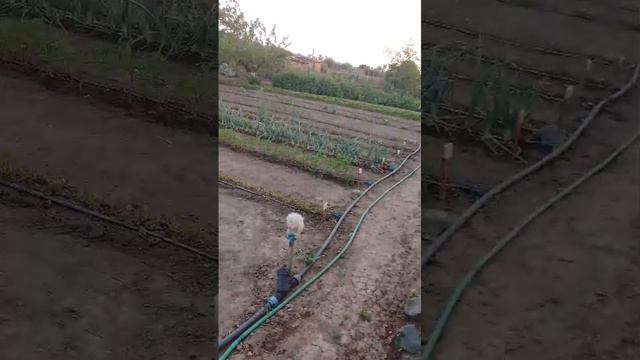 Помогаем бабушке