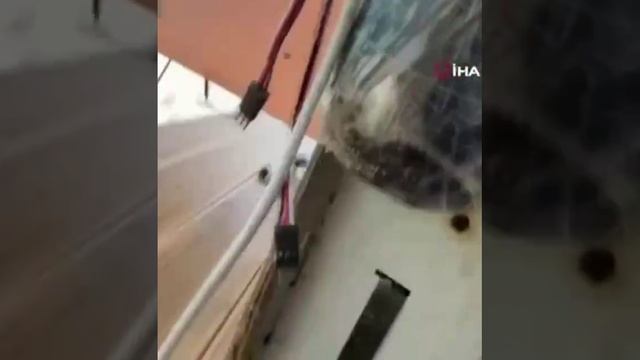 эхо войны: украинский дрон море вынесло на пляж в Стамбуле