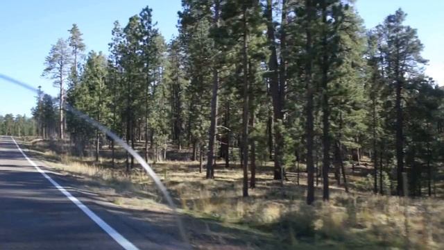 Road to Grand canyon